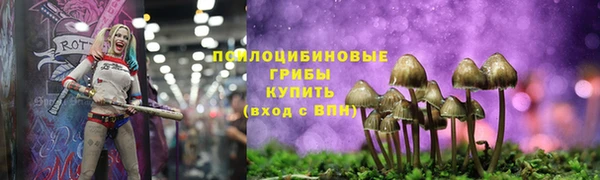 бутират Баксан