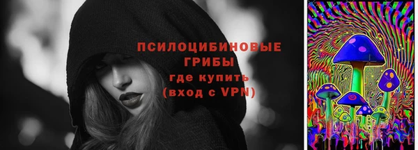 apvp Балабаново