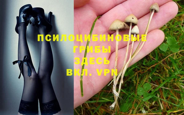 apvp Балабаново