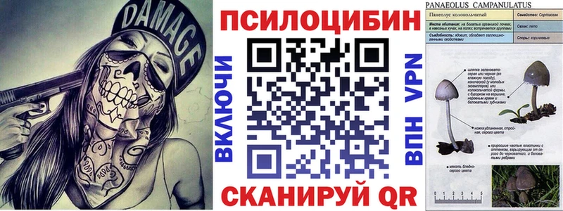 Псилоцибиновые грибы Psilocybe  где купить наркоту  Долгопрудный 